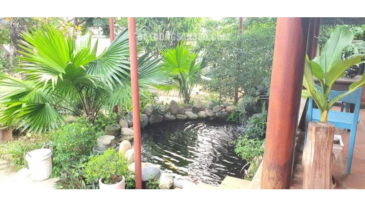 Nhà Vườn Góc Hai Mặt Tiền Đường Tại Nha Trang