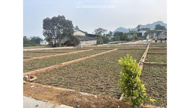 CHỈ VỚI 3xxTRIỆU - CƠ HỘI TĂNG TÀI SẢN BỨT PHÁ 