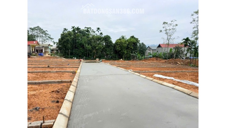 Bán đất nền ven khu công nghiệp xã Thành Trực , Thạch Thành , Thanh Hóa