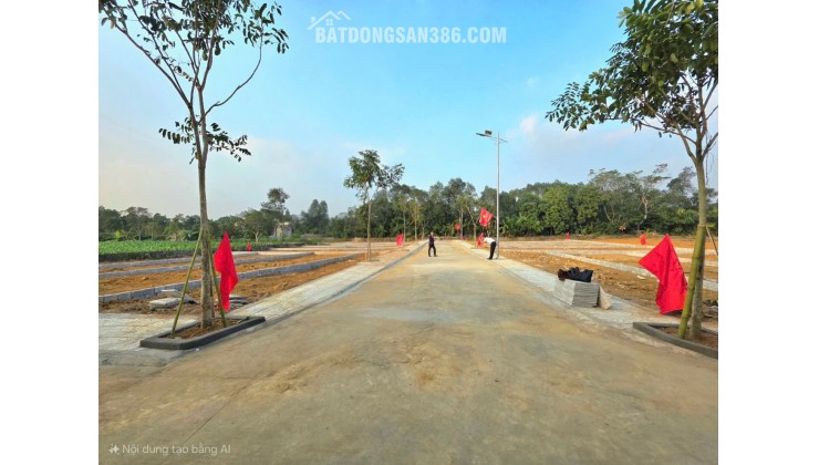 Chỉ 330 triệu! Sở hữu ngay đất nền 126m2 Thọ Phú, Triệu Sơn, Thanh Hóa. Sổ hồng.