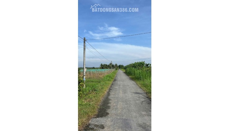 ĐẤT CHÍNH CHỦ - GIÁ TỐT Vị Trí Hòa Lạc C, Lương Hòa A, Châu Thành, Trà Vinh