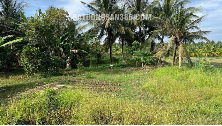 ĐẤT CHÍNH CHỦ - GIÁ TỐT Vị Trí Hòa Lạc C, Lương Hòa A, Châu Thành, Trà Vinh