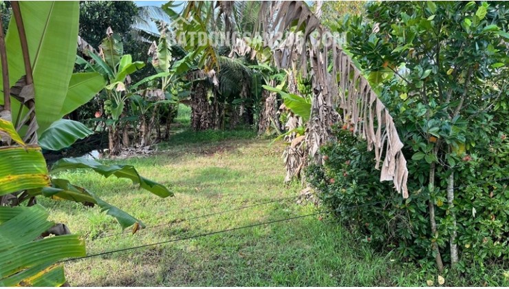 ĐẤT CHÍNH CHỦ - GIÁ TỐT Vị Trí Hòa Lạc C, Lương Hòa A, Châu Thành, Trà Vinh