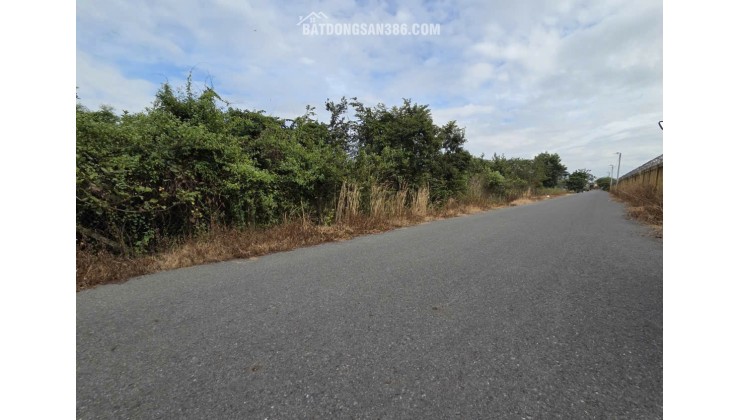 BÁN 1732 M² ĐẤT ĐƯỜNG PHẠM VĂN CỘI CỦ CHI. GIÁ 12TR/M2. LH:0906735462