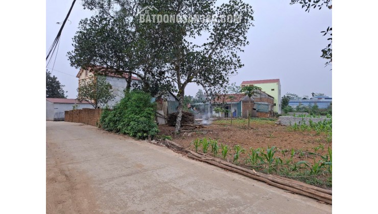 Chính Chủ Bán Nhanh Đất Siêu Đẹp Trục Chính Thôn Đồi Sen Xã Bình Yên, Thạch Thất, Hà Nội
