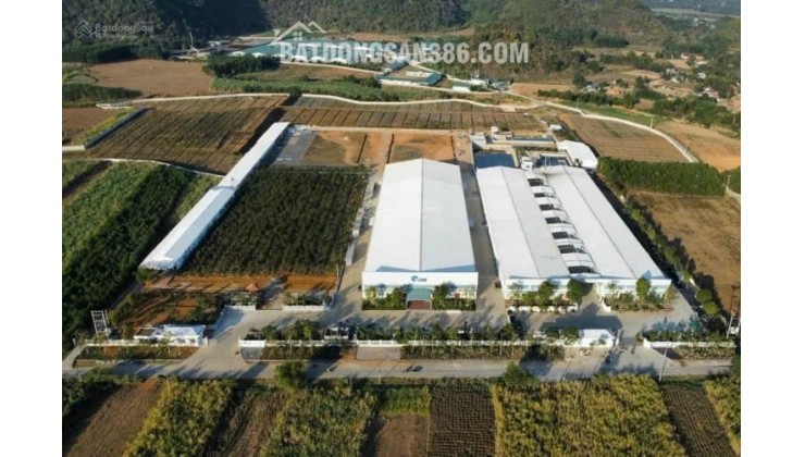 Bán đất 3 lô đất liền kê·,sổ đỏ chính chủ ,ven khu công nghiệp Thanh Hóa