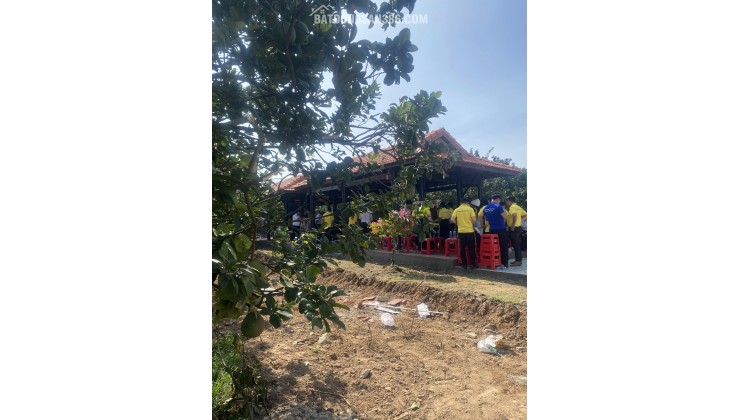 Cần Bán Gấp Vườn Bưởi đẹp hơn 2000m2 tại Bàu Bàng, HCM - Giá tốt