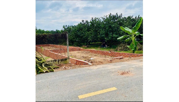 Cần Bán gấp Lô đất tại Bàu Bàng, Có sẵn thổ cư, Giá rẻ