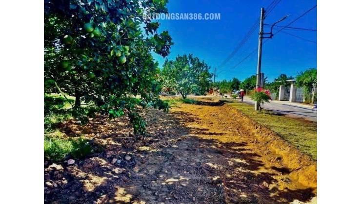 Chính chủ gửi bán lô đất siêu đẹp tại Bàu Bàng, Giá Tốt
