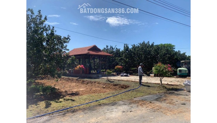 Chính chủ gửi bán lô đất siêu đẹp tại Bàu Bàng, Giá Tốt