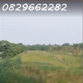 Bán đất nông nghiệp 4678m2 đường Tám Sáng, Tân Phú Trung, ĐT. Sổ hồng, giá 1.5 tỷ.