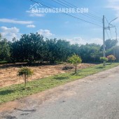  BÁN VƯỜN BƯỞI – TẶNG KÈM ĐẤT THỔ CƯ, GIÁ CHỈ TỪ 300 TRIỆU SỞ HỮU NGAY 