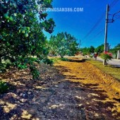Chính chủ gửi bán lô đất siêu đẹp tại Bàu Bàng, Giá Tốt