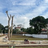 BẮT ĐÚNG NHỊP MUA – NẮM TRỌN DƯ ĐỊA TĂNG GIÁ - CƠ HỘI ĐẦU TƯ CHỈ BẮT ĐẦU TỪ 300 TRIỆU