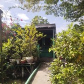 BÁN NHÀ TẠI TP CHÂU ĐỐC AN GIANG, DT 137M2 GIÁ CHỈ 1,5 TỶ. LH:0898132384.