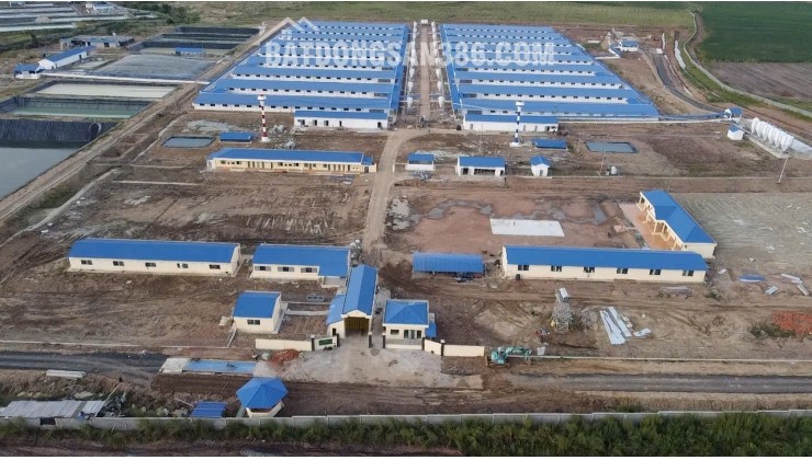 Bán Trang trại heo 26 Ha 18.000 heo thịt, Đang cho thuê 1.1 tỷ/tháng Chư Prông, Gia Lai.