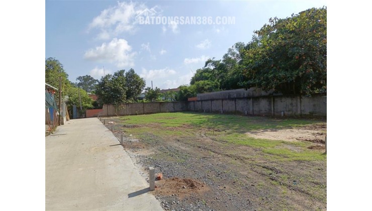 BÁN ĐẤT THỔ CƯ XÃ BÌNH MỸ (TRUNG AN CŨ) – CỦ CHI – CÁCH TÂN QUY TL15 500M