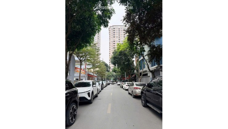 BÁN GẤP BIỆT THỰ ĐƠN LẬP PHỐ THỌ THÁP (KĐT DỊCH VỌNG), QUẬN CẦU GIẤY