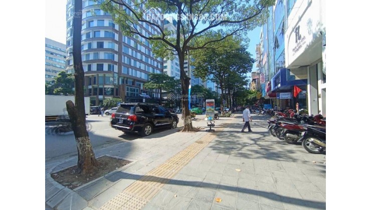 Bán đất xây văn phòng phố Trần Thái Tông - KĐT Mới Cầu Giấy - 130m MT8m - Ô Tô Vỉa Hè KDVP