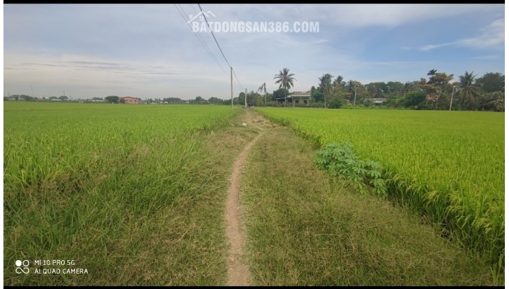 Bán gấp lô đất thổ lúa gần Quốc Lộ 50B hạ giá 6 tỷ