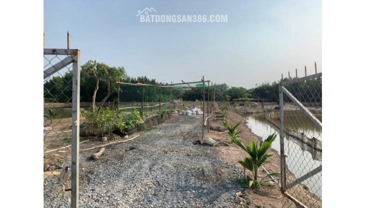 Bán lô đất thổ phân lô mặt tiền đê bao giá 7,5 tỷ