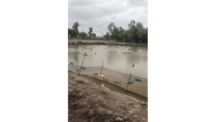 Bán lô đất thổ phân lô mặt tiền đê bao giá 7,5 tỷ