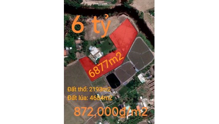 Bán gấp lô đất thổ lúa gần Quốc Lộ 50B hạ giá 6 tỷ