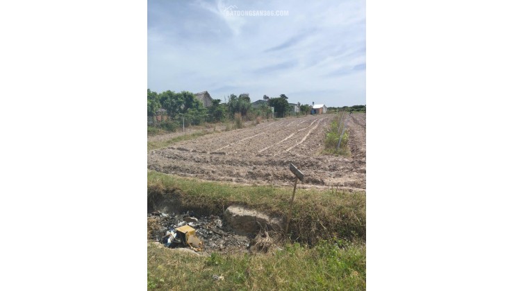 Bán Đất Tây Ninh giá rẻ