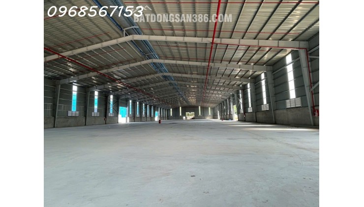 Cho thuê cụm kho xưởng 11.000m² mới xây – Bàu Bàng / Bến Cát – điện 1.000KVA