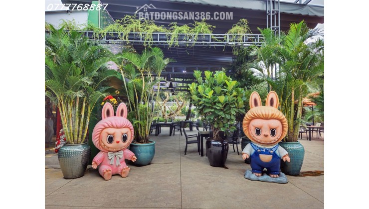 Bán đất 2MT KD quán cafe nổi tiếng Quận 9 gần Vinhome giá chỉ 20 - 28tr/m2