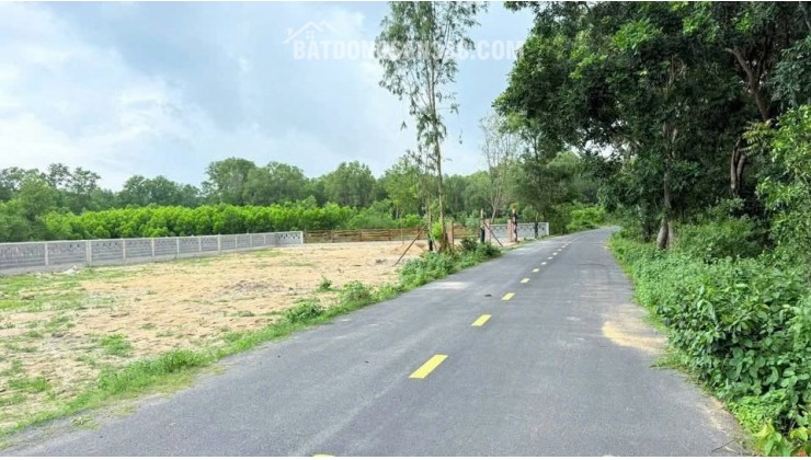  BÁN CẮT LỖ – ĐẤT VIEW NÚI MINH ĐẠM – GẦN HỒ SỞ BÔNG 