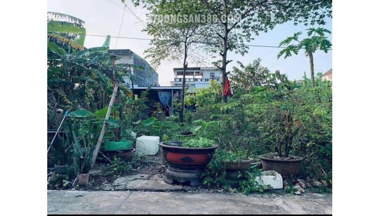 ĐẤT PHÚ BÀI – VỊ TRÍ ĐẸP PHÙ HỢP VỚI ĐẦU TƯ VÀ AN CƯ 