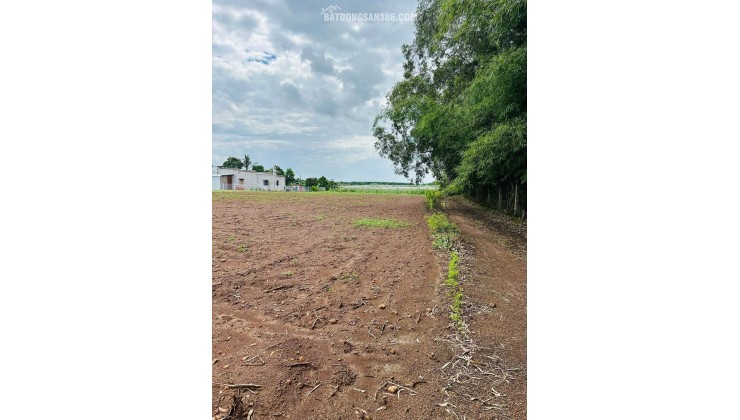  CẮT LỖ SÂU – LÔ NHÀ VƯỜN 492m² NGANG 10 GIÁ CHỈ TỪ 690 TRIỆU