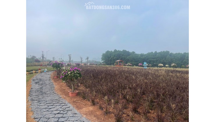 30 phút tới Chùa Hương – 1 giờ tới Tràng An – 50 phút về Hà Nội.