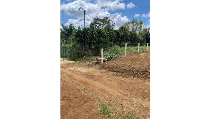 Bán 166,6m2 đất Tân Lạc Lâm Đồng, sẵn SHR, chỉ 450tr buông sổ. Lh:0983762203