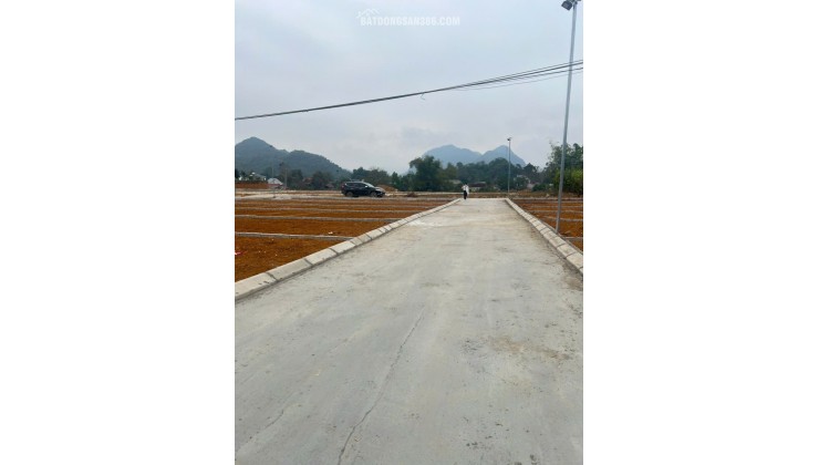 CHỈ HƠN 180 TRIỆU – SỞ HỮU NGAY LÔ ĐẤT ĐẸP TẠI THÀNH VINH, THẠCH THÀNH, THANH HÓA!