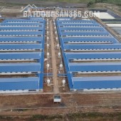 Bán Trang trại heo 26 Ha 18.000 heo thịt, Đang cho thuê 1.1 tỷ/tháng Chư Prông, Gia Lai.