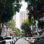 BÁN GẤP BIỆT THỰ ĐƠN LẬP PHỐ THỌ THÁP (KĐT DỊCH VỌNG), QUẬN CẦU GIẤY