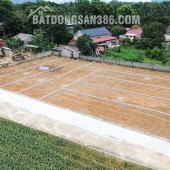  NĂM MỚI ĐÓN TẾT HOAN HỶ – LỘC XUÂN TƯNG BỪNG 