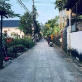 ĐẤT PHÚ BÀI – VỊ TRÍ ĐẸP PHÙ HỢP VỚI ĐẦU TƯ VÀ AN CƯ 