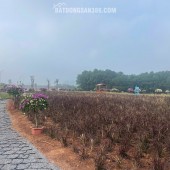 30 phút tới Chùa Hương – 1 giờ tới Tràng An – 50 phút về Hà Nội.