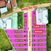 Bán đất thổ cư diên điền, diên khánh 79-129m2, giá dưới 1 tỷ, giá chính chủ, đầu tư f0