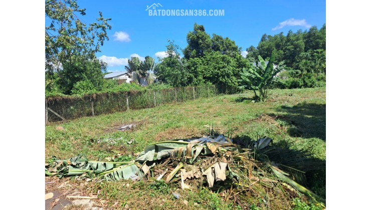 BÁN SIÊU PHẨM ĐẤT ĐẸP - Phù Hợp Cho Mọi Gia Đình