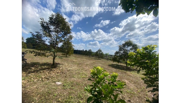 HOT !!! CHÍNH CHỦ BÁN SIÊU PHẨM - BÁN NHANH ĐẤT ĐẸP Phù Hợp Cho Mọi Gia Đình