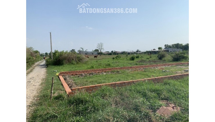 LÔ ĐẤT ĐẸP XE HƠI TỚI ĐẤT NGAY PHÚ SINH CÁT TƯỜNG - GẦN KHU CÔNG NGHIỆP ĐỨC HOÀ.ĐỨC LẬP HẠ LONG AN - GẦN CHỢ MỸ HẠNH BẮC TRƯỜNG HỌC MỸ HẠNH