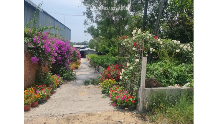 Đất Phú Quốc giảm 30% so với khu vực - Chính chủ cần bán gấp