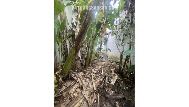 BÁN ĐẤT PHÚ HỮU 56M2 – ĐƯỜNG XE HƠI – NHỈNH 3.8 TỶ