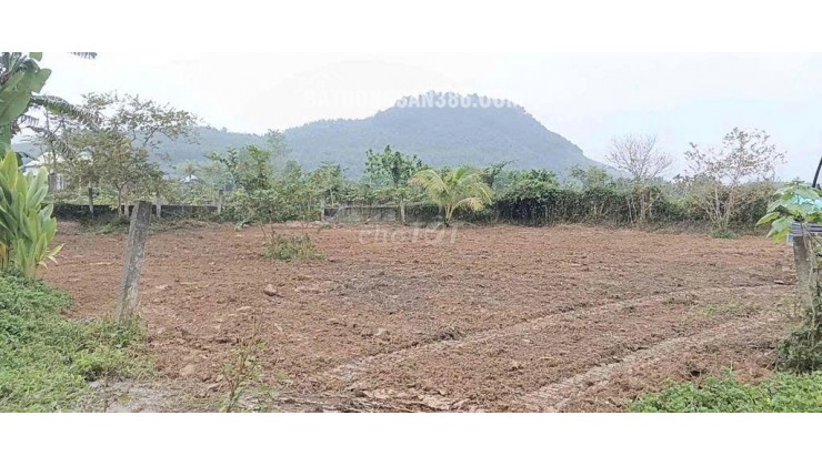 Đất làm vườn nghĩ dưỡng view sông sát đường đi Núi Thần Tài 3800m 5.3 tỷ. Lh:0913913077