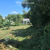 BÁN SIÊU PHẨM ĐẤT ĐẸP - Phù Hợp Cho Mọi Gia Đình