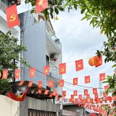 Bán Nhà Phố Huỳnh Tấn Phát Quận 7, Hẻm Xe Hơi 8M, liền kề Phú Mỹ Hưng, Giá 8 Tỷ